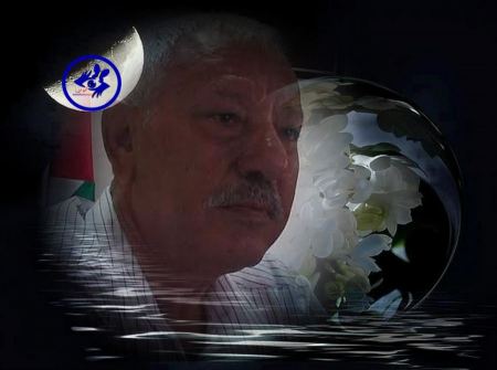 محمد هيبي يُعانق نجمة النمر الأبيض!